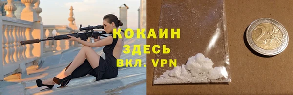 гашик Арсеньев