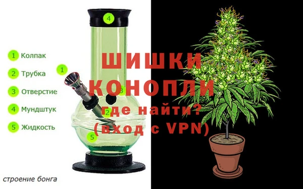 бошки Аркадак