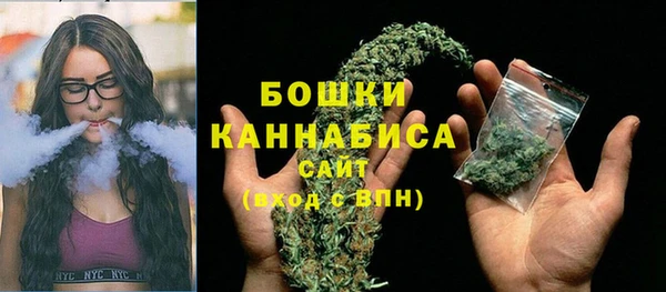 бошки Аркадак